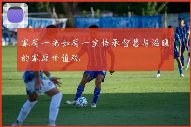 家有一老如有一宝传承智慧与温暖的家庭价值观