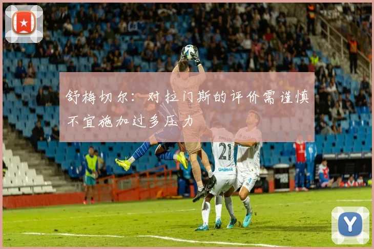 舒梅切尔：对拉门斯的评价需谨慎不宜施加过多压力