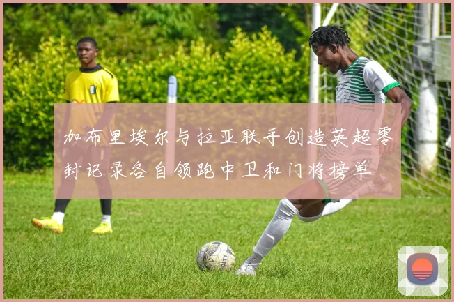 加布里埃尔与拉亚联手创造英超零封记录各自领跑中卫和门将榜单