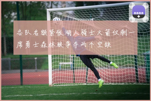 各队名额紧张湖人骑士火箭仅剩一席勇士森林狼争夺两个空缺