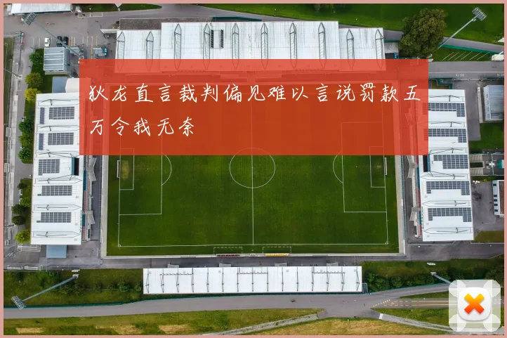 狄龙直言裁判偏见难以言说罚款五万令我无奈